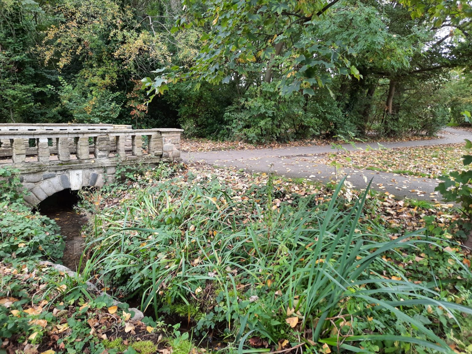 Walking the Peck - London's Lost River – Salterton Arts Review