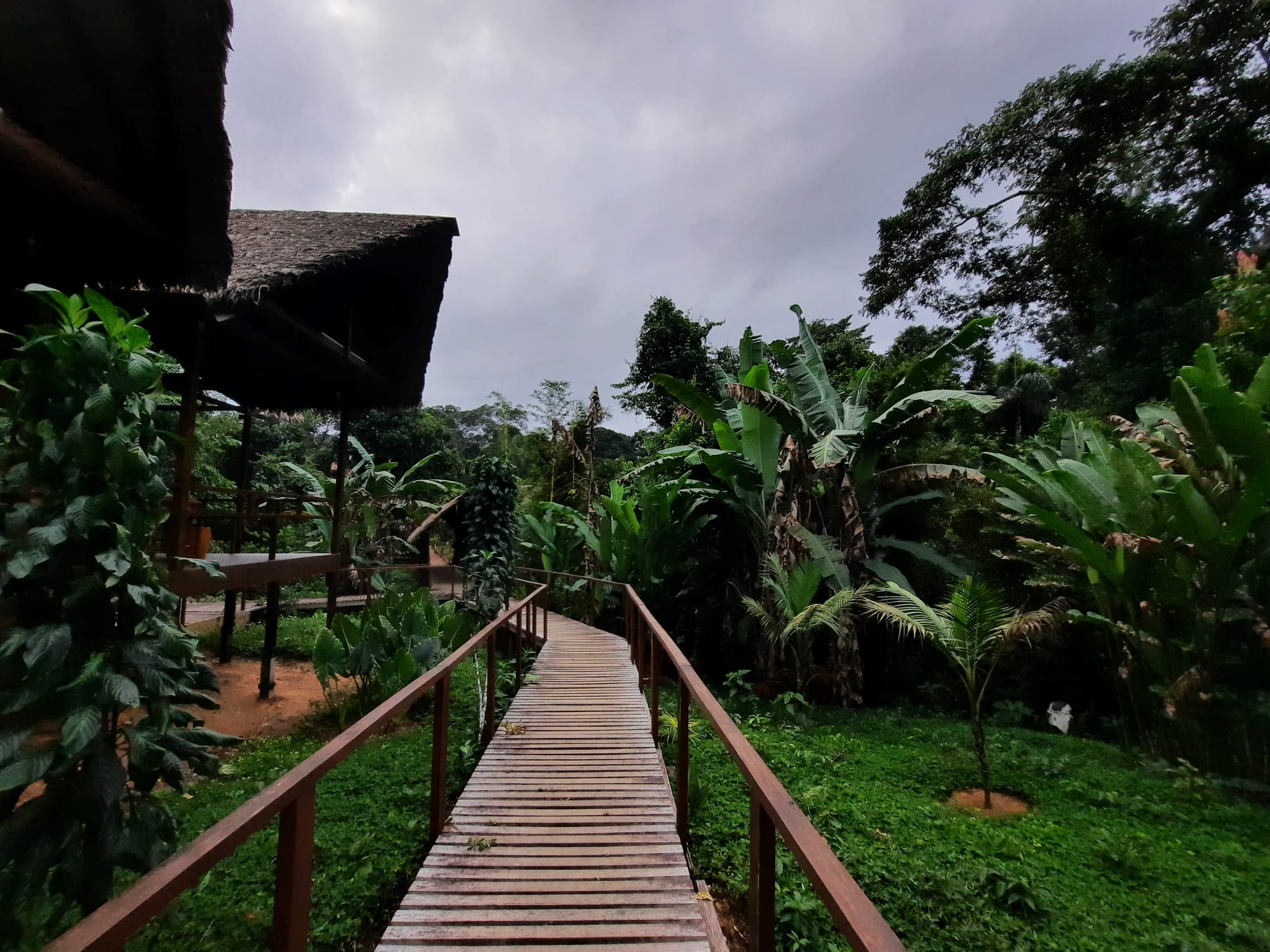 The Peruvian Amazon: Tambopata Eco Lodge via Puerto Maldonado ...