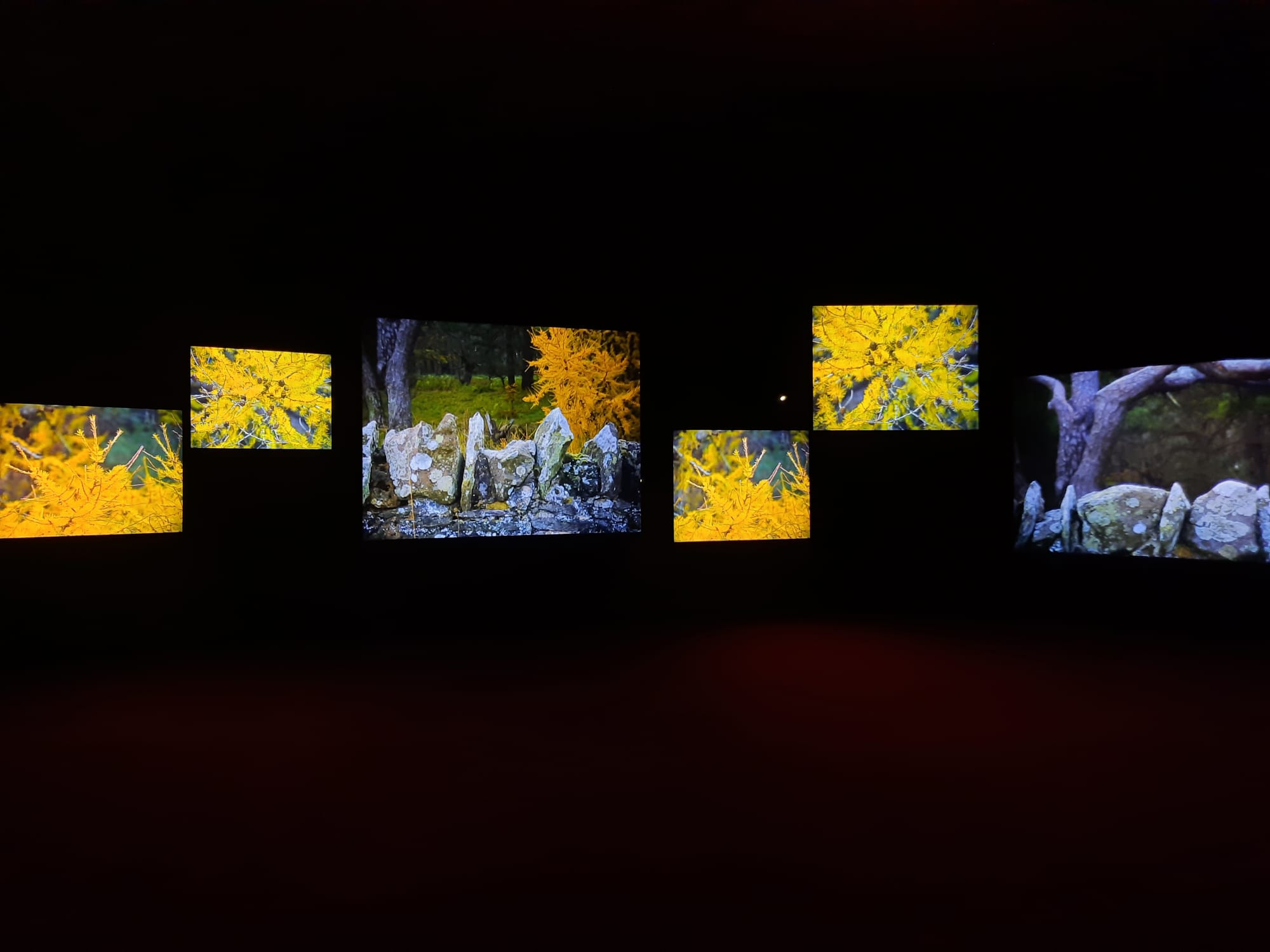 Isaac Julien: What Freedom Is To Me - Tate Britain, London – Salterton ...