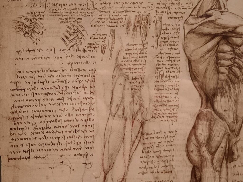 Drawing the Italian Renaissance - The King's Gallery, London ...