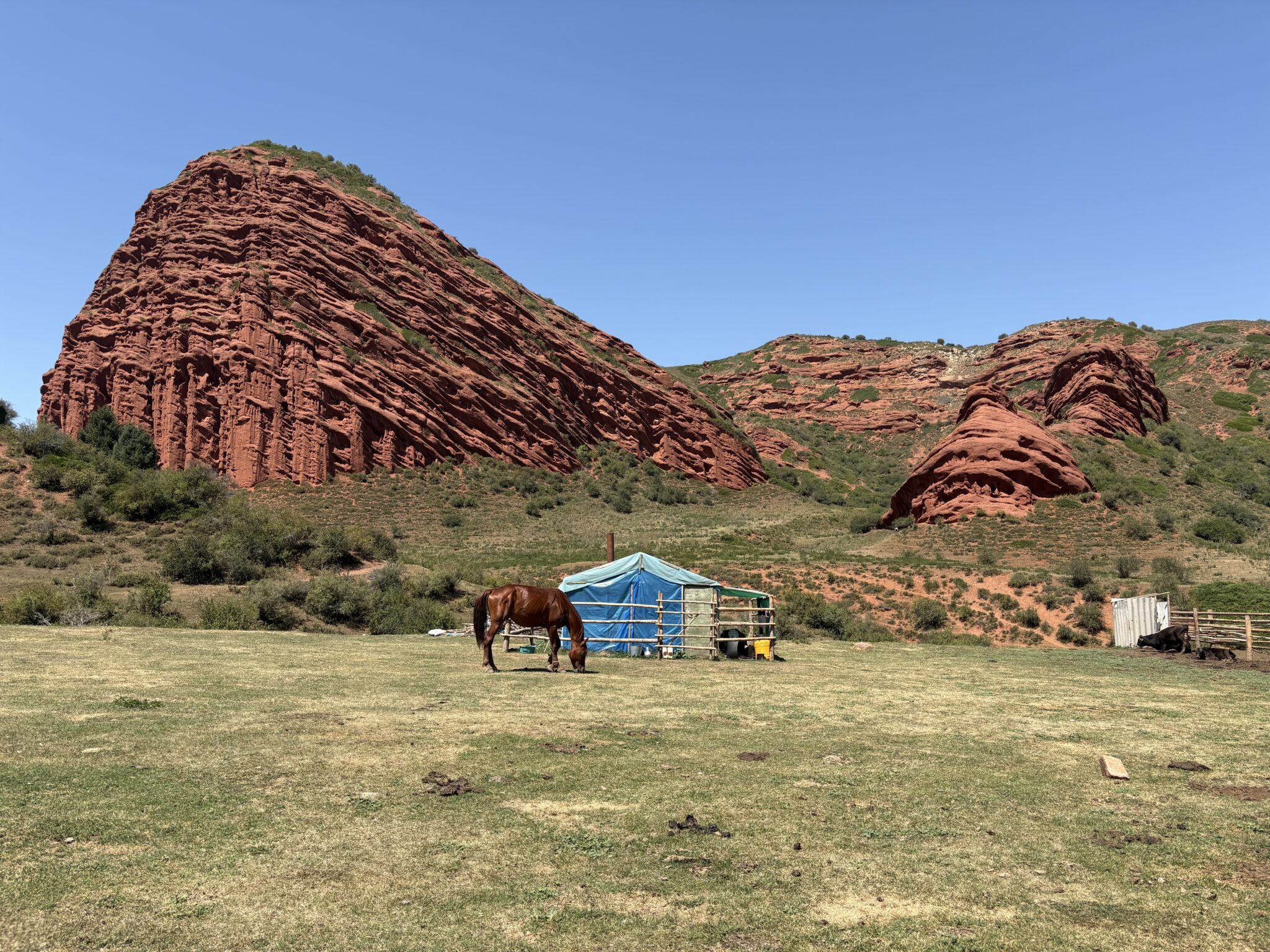Trekking the Tien Shan Mountains, Kyrgyzstan – Salterton Arts Review